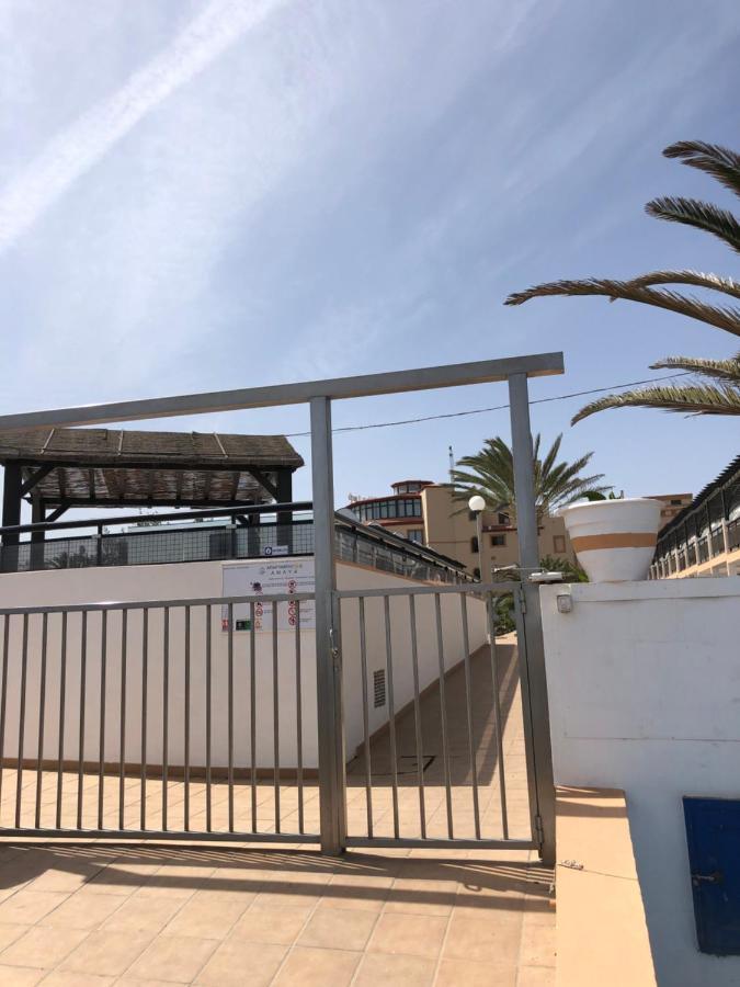 Apartamento Sunshine Complex Amaya Fuerteventura 科斯塔德安提瓜 外观 照片
